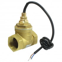 7-20L/Min 1A 70W 3/4PT Female Port Thread Paddle Water Flow Switch Flowmeter