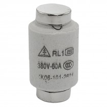 AC 380V 60A Ceramic Screw Type Fuse Link RL1