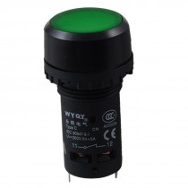 AC 220V Green Lamp Light Momentary Push Button Switch DPST 1 NO N/O 1 NC N/C New