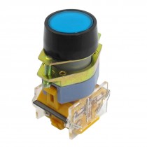 Blue Flat Button AC 660V 10A 1NO 1NC DPST Momentary Pushbutton Switch