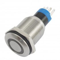 12V Green Lamp Momentary SPDT Contact Stainless Push Button Switch