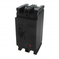 AC 380V 100A Amps 2P Moulded Case Circuit Breaker DZ15-100/290