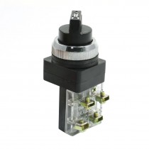 DPST 2 Pin Latching 2 Position Selector Pushbutton Switch AC 250V 6A