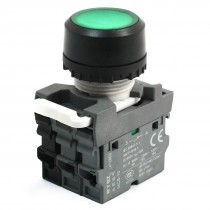 DPST Momentary Action Type Green Indicator Lamp Push Button Switch 690V 10A