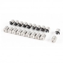 10 Pcs Fast Blow Type Glass Tube Fuses 5x20mm 250V 0.25A