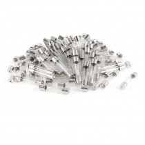Car Vehicle 6mm x 30mm 6A 250V Low Breaking Capacity Glass Tube Fuses 100 Pcs