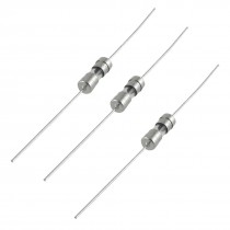 10 Pcs Axial Lead Slow Blow 3.6 x 10mm Glass Fuse 250V 1A