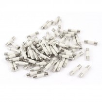 80 pcs Fast-blow Acting Ceramic Fuses Link 5mmx20mm 250V 10A