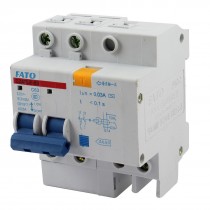 AC 220V 6-63A 2 Pole On/Off Switch Miniature Circuit Breaker DZ47LE-63