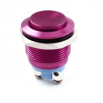 AC250V 5A 19mm Thread SPST Momentary High Flat Head Red Metal Pushbutton Switch