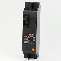 AC 220V 40A 2 Pole 2P+N Moulded Case ELCB Earth Leakage Circuit Breaker
