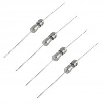 10 Pieses Axial Lead Slow Blow 3.6 x 10mm Glass Fuse AC 250V 2.5A