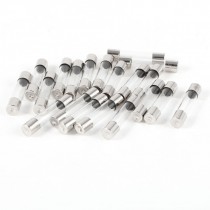 20pcs Fast Blow Glass Tube Fuse 1A 250V 6mm x 30mm