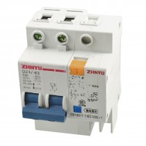 DZ47LE 32A Rated Current AC400V 2 Pole ELCB Earth Leakage Circuit Breaker