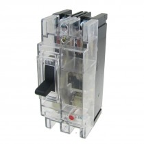 Transparent AC 380V 32A Amps 2P Moulded Case Circuit Breaker