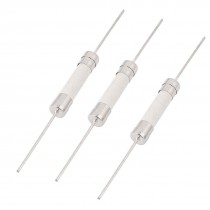 3pcs 250V 30A 6mm x 30mm Fast Blow Acting Axial Lead Ceramic Fuse