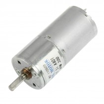 DC 12V 45mA 300RPM 0.33Kg-cm High Torque Permanent Magnetic DC Gear Motor