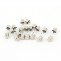 10 Pcs 250V 1A 1000mA Slow Blow Time Delay Glass Fuses 5mm x 20mm