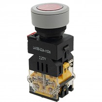 AC 660V 10A Red Sign Momentary Push Button Switch 22mm w 220V Lamp 1 NO 1 NC