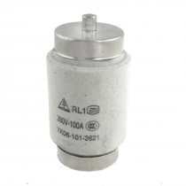 AC 380V 100A 61 x 32mm Screw Base Type Fuse Link RL1-100
