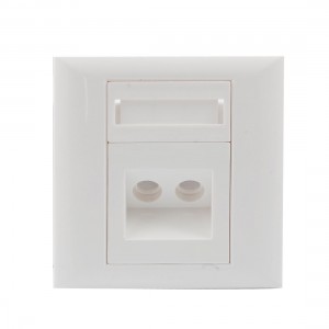 ST Fiber Optic Patch Cord Adapter 2 Sockets Plastic Wall Plate Panel