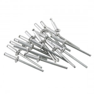 20Pcs Dome Head Sealed Type 3mm Diameter Blind Rivet