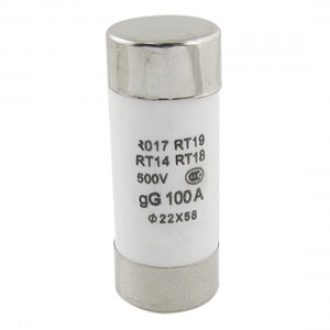 22mm x 58mm 500V 100A Cylindrical Fuse Link RO17
