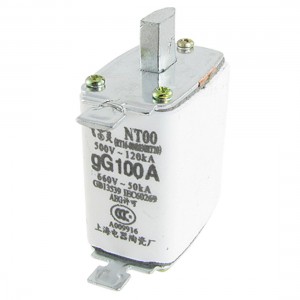 500V 120kA 660V 50kA gG 100A Blade Ceramic Fuse Link NT00