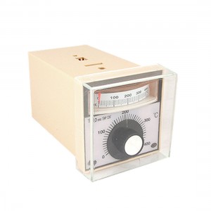 TED-2001 Deviation Indication Temperature Switch Controller AC 220V