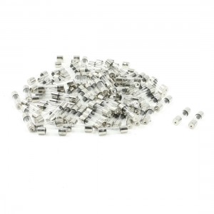 100 Pcs 250 Volts 6Amp Fast Blow Type Glass Tube Fuses 5 x 20mm