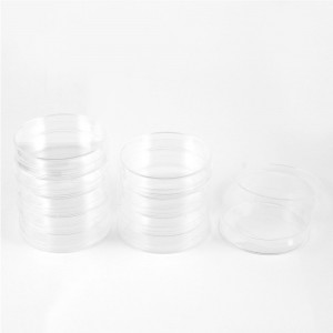 10 Pcs 70mm Diameter Cylinder Shape Clear Plastic Cell Culture Dish