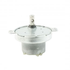 17RPM Output Rotary Speed 2 Pin Connecting Cylinder Shape Geared Motor DC12V