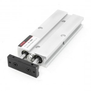 TN10x60 Alloy Double-shaft Slide Guiding Pneumatic Air Cylinder