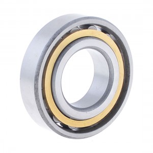 Cylindrical 30mm x 62mm x 16mm Taper Tapered Roller Bearings RN206M