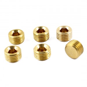 6 Pcs 1/4" PT Male Thread Brass Internal Hex Head Socket Pipe Plugs