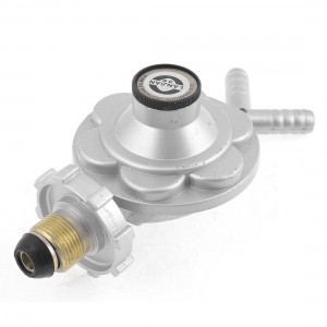 Bottled Compressed 2 Outlet Gas Controller Regulator Valve Silver Tone