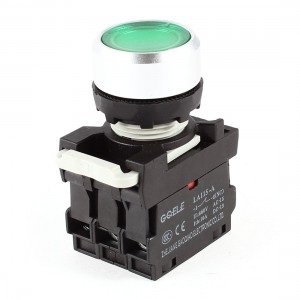 660V Ui 10A Ith DPST NO+NC Panel Mounted Momentary Push Button Switch