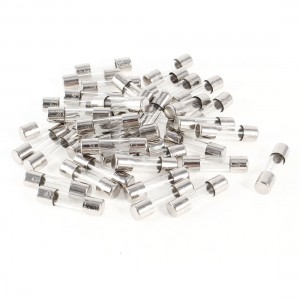 40 Pcs 250V 2Amp Fast Blow Type Glass Tube Fuses F2L250V 5mm x 20mm