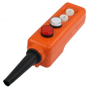 Red White LED Lamp Up-Down Crane Hand Operate Pushbutton Switch 110V