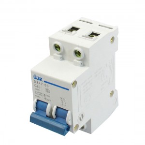 400VAC 20A 6000A Breaking Capacity Standard DIN Rail 2P Electric Circuit Breaker