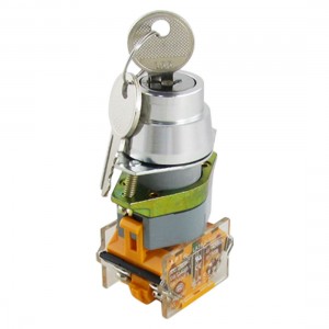 AC 660V 10A Two 2 Position Rotary Key Lock Select Selector Switch 1 NO 1 NC
