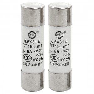 2 x RT19 500V 6A gF Ceramic Fuse Links Fuses 8.5x31.5mm