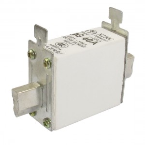 500V 120kA 660V 50kA gG 40A Blade Contact Ceramic Fuse Link NT00C