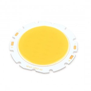 Round 20W DC30-36V 600mA 80-100LM/W Warm White LED COB Lamp Bead Chip