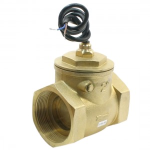 SEN-DB50 2PT Female Thread Brass Paddle Type Flow Switch Flowmeter 150L/Min 70W