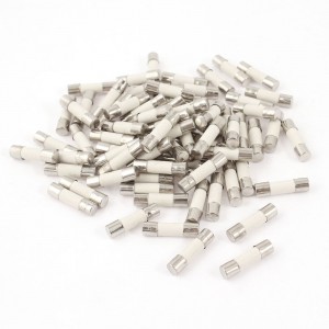 80pcs 5mmx20mm Quick Fast Blow Ceramic Fuses 250V 5Amp