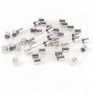 20pcs Fast Blow Glass Tube Fuse 3A 250V 6mm x 30mm
