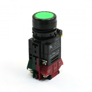 Momentary DPST NO NC 4 Pin Terminal Green Push Button Switch AC 220V