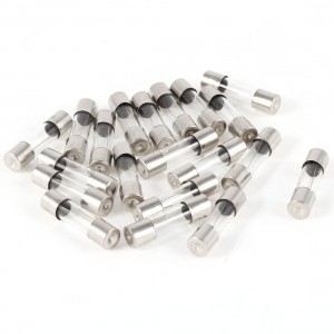 20pcs Fast Blow Glass Tube Fuse 10A 250V 5mm x 20mm