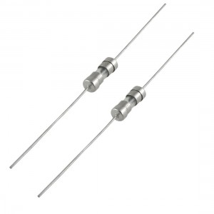 10 Pcs Axial Lead Slow Blow 3.6 x 10mm Glass Fuse 250V 1.25A